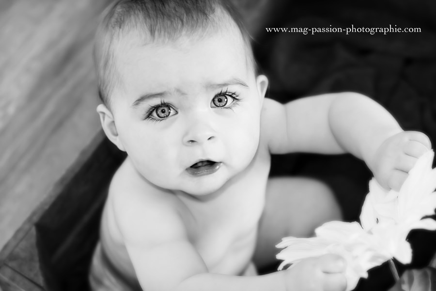 IMG_4928 as Smart Object-1